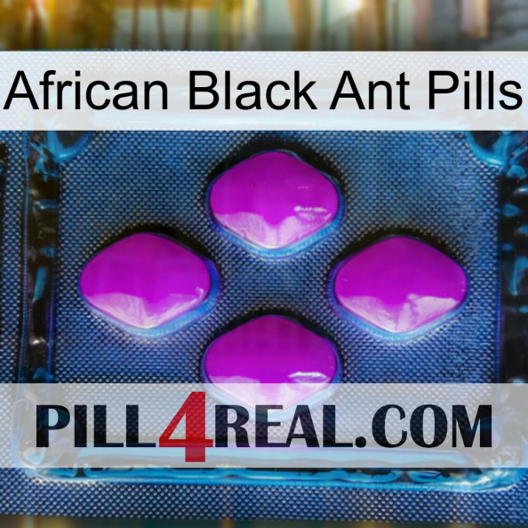 African Black Ant Pills 04.jpg